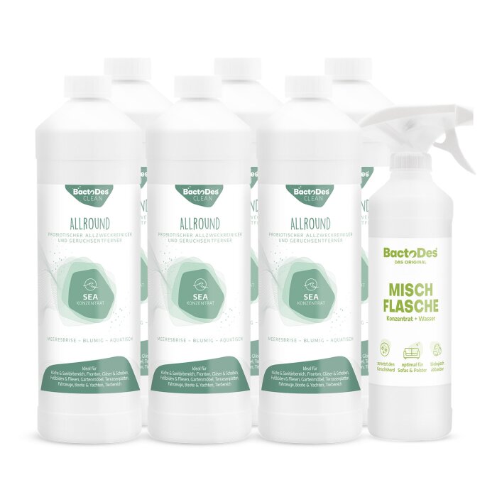 BactoDes® Clean Allround - Sea 6x1 Liter Karton inkl. 1 Misch- und Sprühflasche